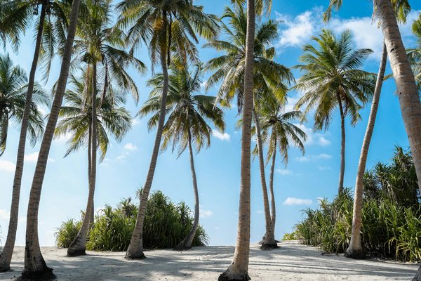 Les 10 meilleurs campings 4 étoiles en France