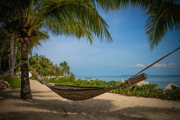 Impacts environnementaux du tourisme durable